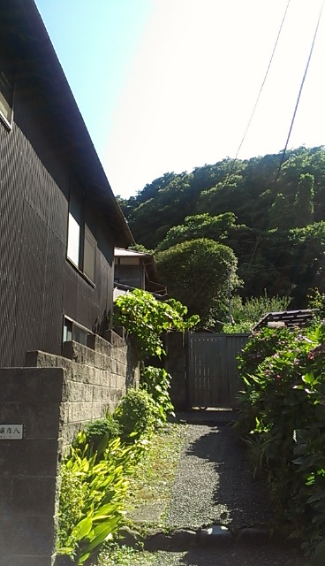 IMAG5318.jpg